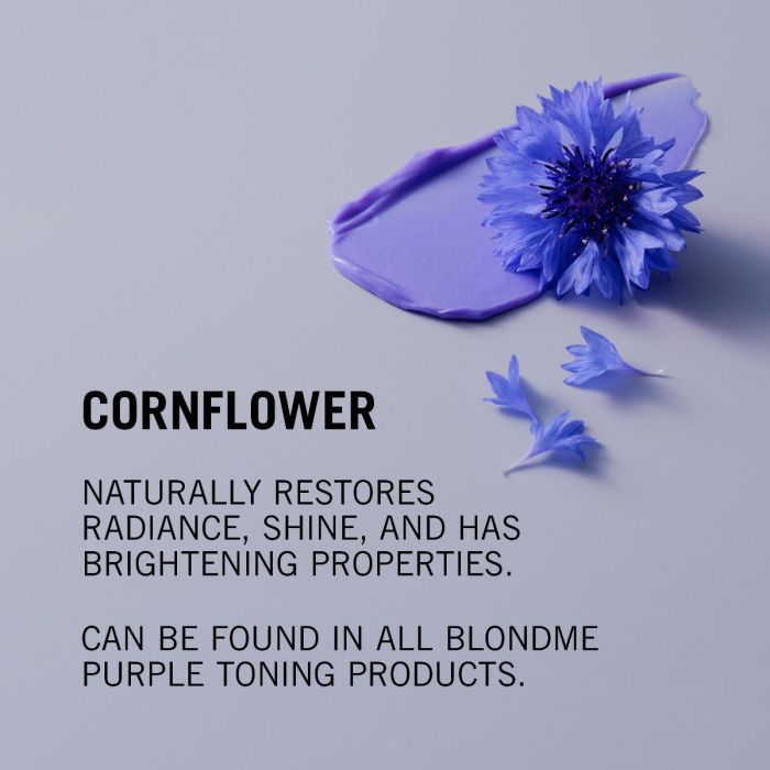 Schwarzkopf Professional BlondMe Bond Repair Purple Conditioner 250ml